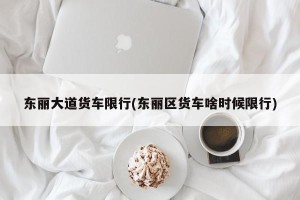 东丽大道货车限行(东丽区货车啥时候限行)