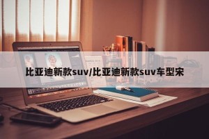 比亚迪新款suv/比亚迪新款suv车型宋