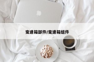 变速箱部件/变速箱组件