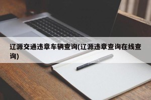 辽源交通违章车辆查询(辽源违章查询在线查询)